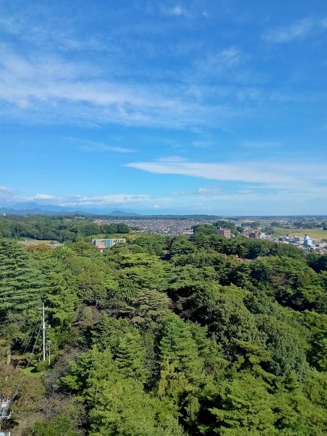 Hachimanyama Park Utsunomiya Tower