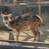 親子之選～東山動植物園 