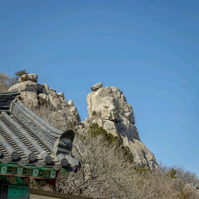 남해바다의 전망절