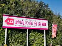 Suzuka forest garden 