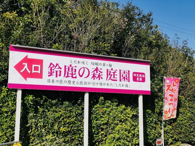 Suzuka forest garden 