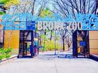Bronx Zoo