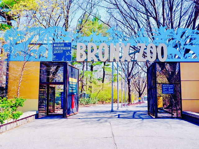 Bronx Zoo