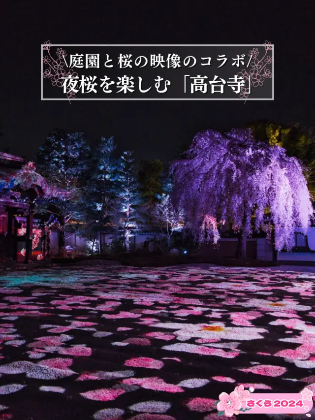 【京都×桜】桜のプロジェクションマッピングで彩られた庭園が美しい🤩※攻略のコツ情報付