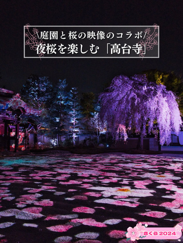【京都×桜】桜のプロジェクションマッピングで彩られた庭園が美しい🤩※攻略のコツ情報付