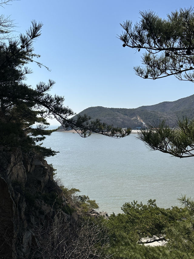 아름다운 서해바다와 반짝이는 섬들을 ✨ 바라보며 산책할 수 있는 인천 여행지 추천! 💕