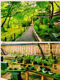 【日本京都】嵐山祇王寺：當天園林今天已換上滿地青苔