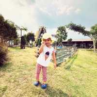 Moori Moori 🐮 Play Farm