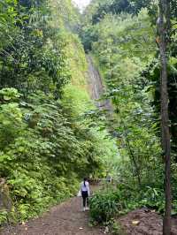 หัดเดินป่าที่ Manao falls Trail 