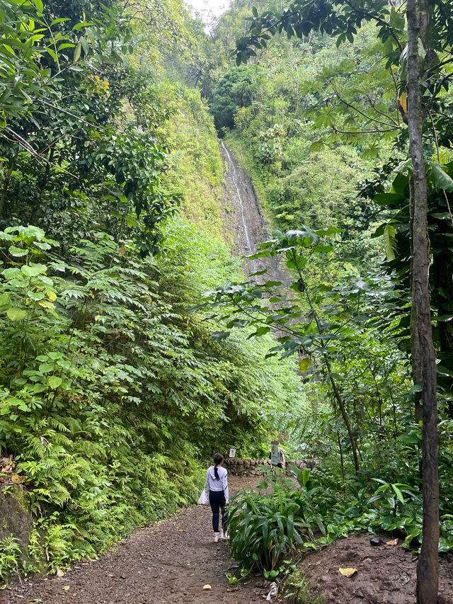 หัดเดินป่าที่ Manao falls Trail 