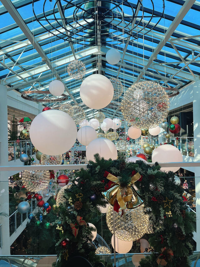 겨울에는 온실카페에서 데이트를! 연말엔 더 예뻐🎄