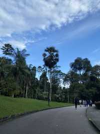 Tranquil Penang Botanjc Gardens 🇲🇾