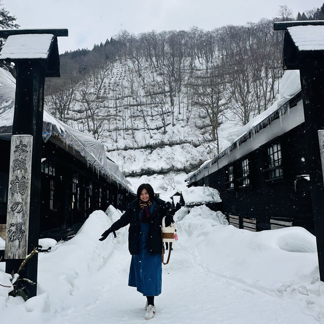 Nyuto Hot Spring Village 