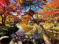 🍁สวนสาธารณะฮิบิยะ Hibiya Park 
