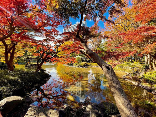 🍁สวนสาธารณะฮิบิยะ Hibiya Park 