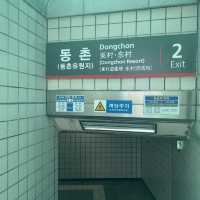 【大邱峨洋橋河畔】漫步櫻花隧道中🌸
