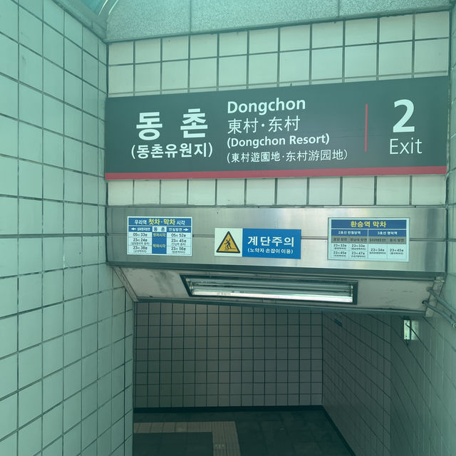 【大邱峨洋橋河畔】漫步櫻花隧道中🌸