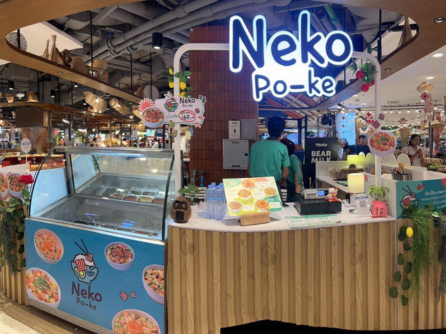 📍: Neko Poke 🍚 