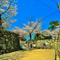 松阪城跡