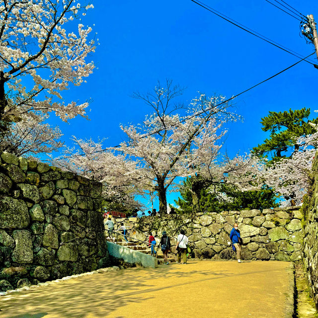 松阪城跡