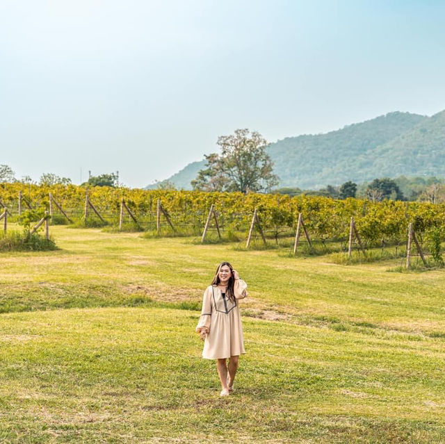 ⛰️เที่ยวเขาใหญ่ ฟีลเมืองนอก ทัวร์ชมไร่องุ่น