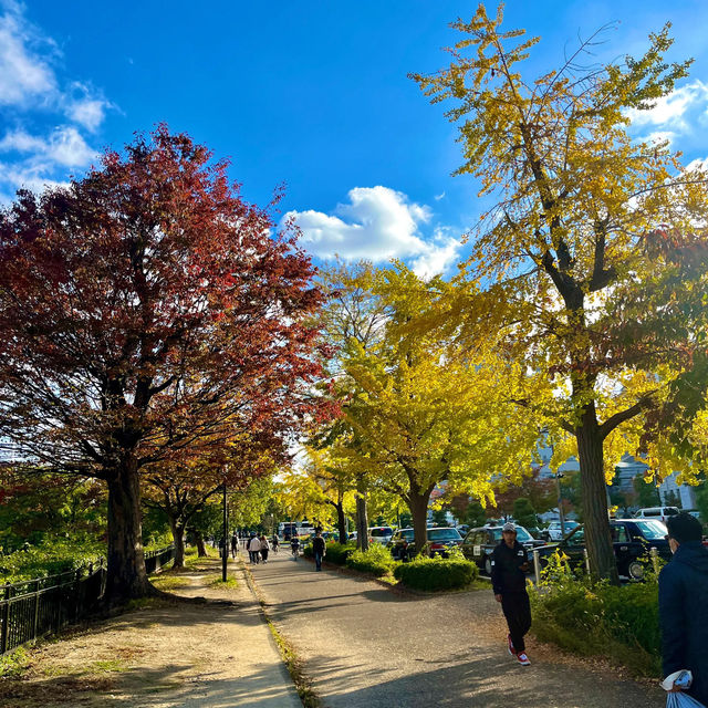 🎯 Itinerary for 1 perfect day in Osaka 🎡