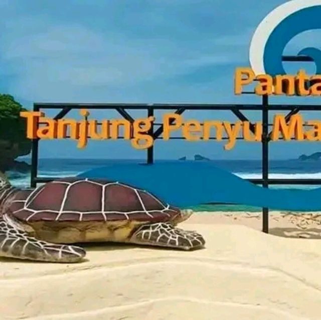 Turtle Beach paradise