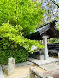 【兵庫県】日本の神々が誕生した聖地「自凝島神社」