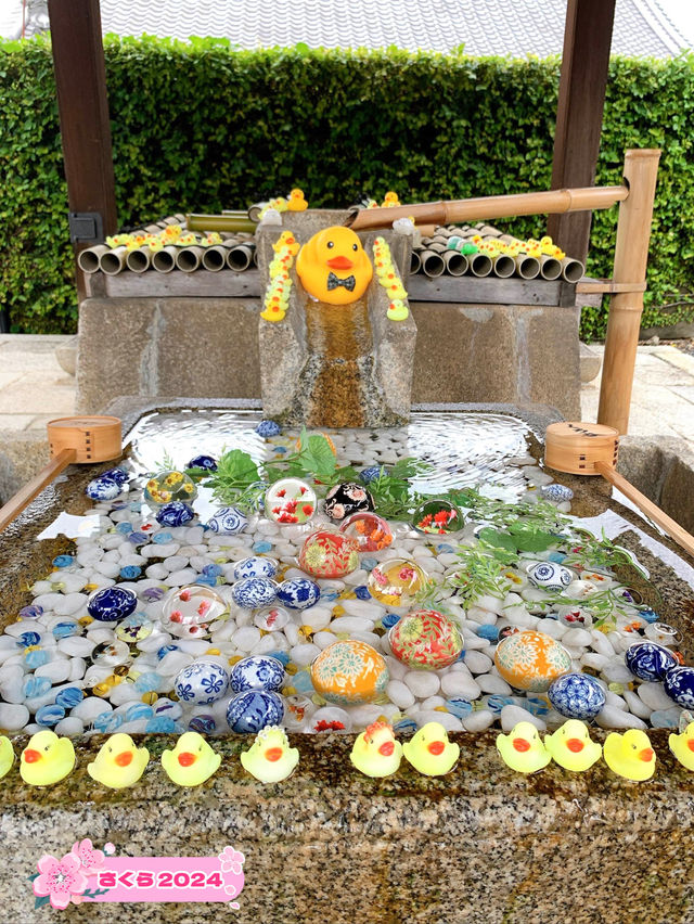 【京都観光】可愛いアヒルがお出迎え♡花玉手水に癒される寺院