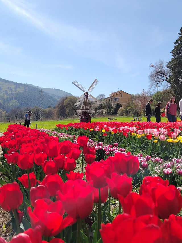 TuliPark - Spoleto