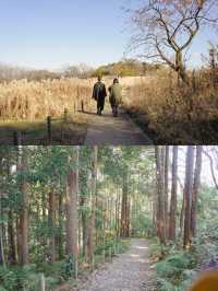 【町田】まだまだ知られてないおしゃれな公園カフェ。