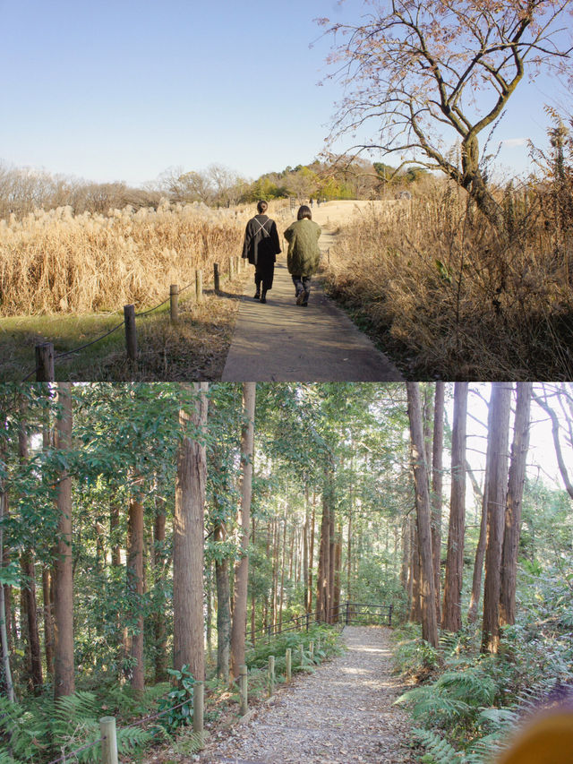 【町田】まだまだ知られてないおしゃれな公園カフェ。