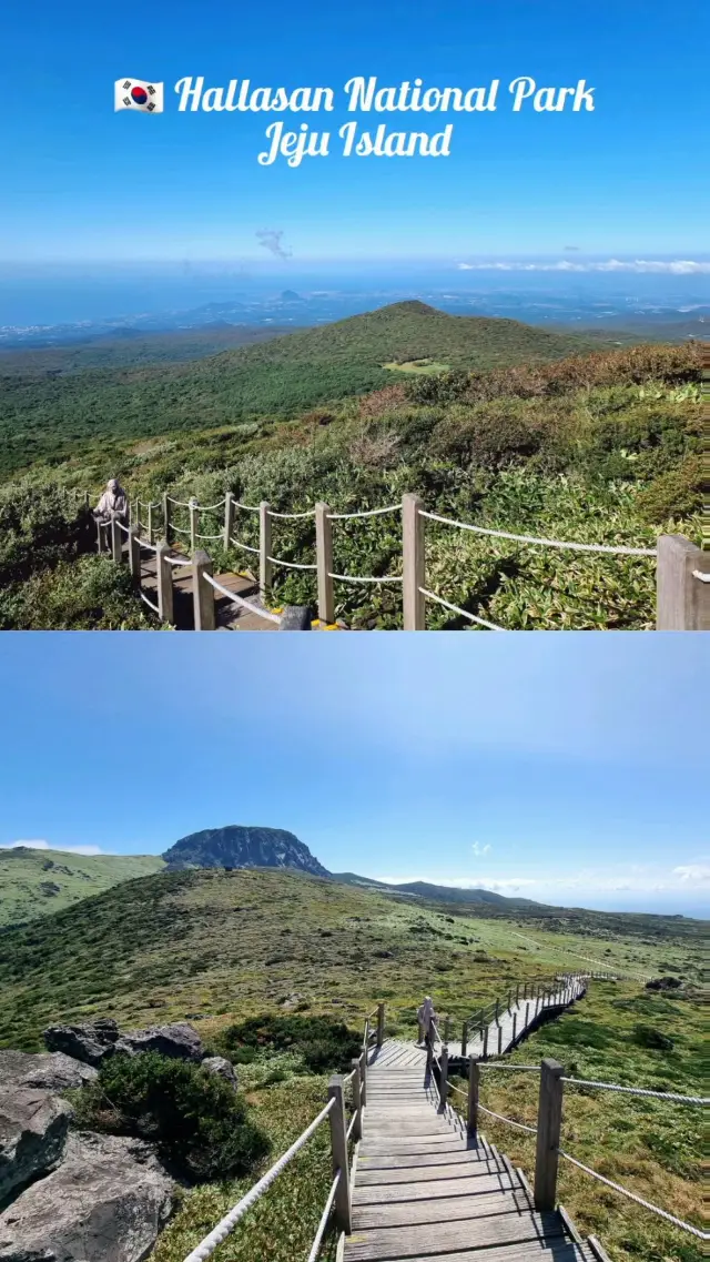 🇰🇷 Hallasan National Park Jeju Island