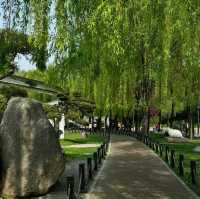 「冬山河親水公園」自然綠洲
