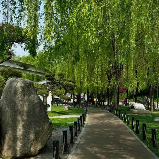 「冬山河親水公園」自然綠洲
