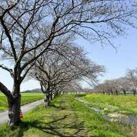 日本九州｜日本的公園總是令人著迷😍