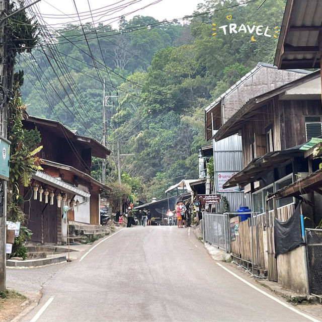 อาบป่า @น้ำตกแม่กำปอง