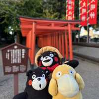 熊本的水前寺成趣園