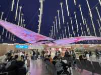 Shanghai Pudong Airport เซี่ยงไฮ้, จีน