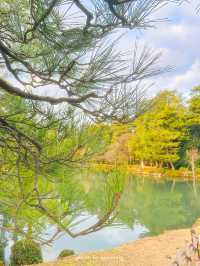 【石川/金沢】兼六園無料で行ける時間帯があるの知ってました？？ 