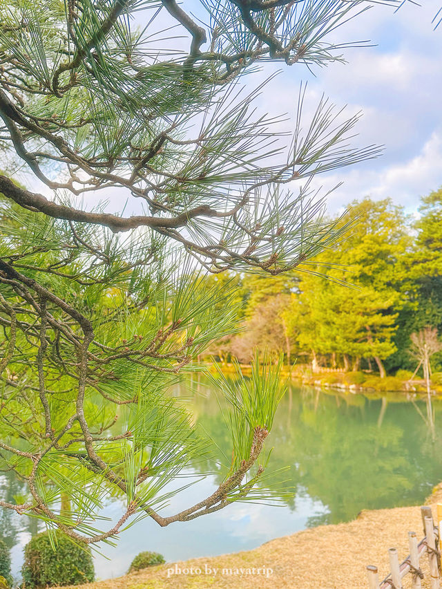【石川/金沢】兼六園無料で行ける時間帯があるの知ってました？？ 