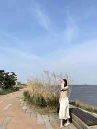 비행기를 5분마다 볼 수 있는 곳 ✈️💖