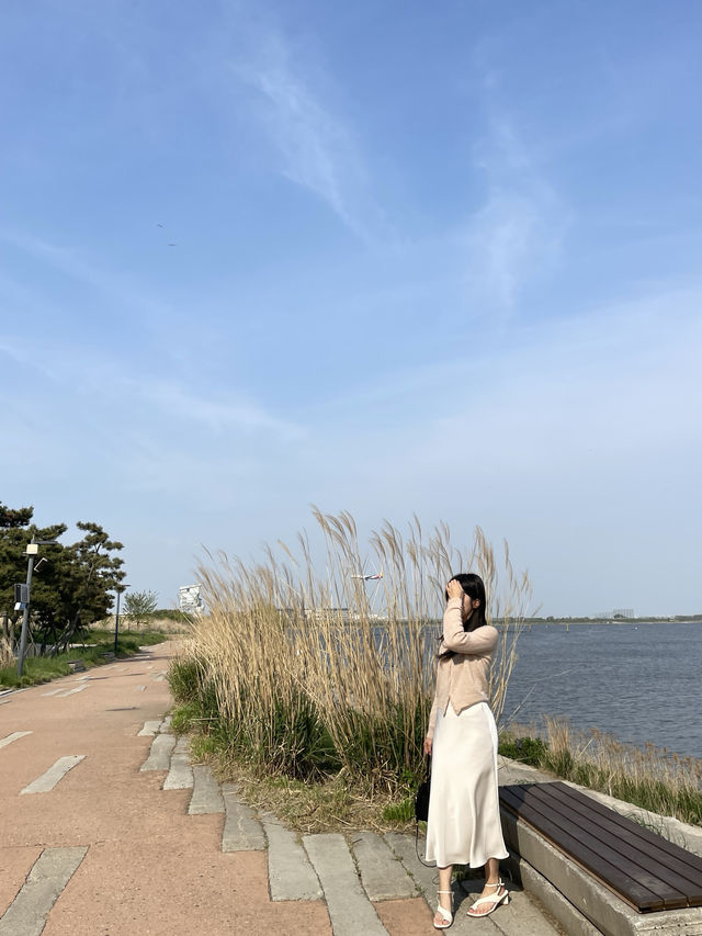 비행기를 5분마다 볼 수 있는 곳 ✈️💖