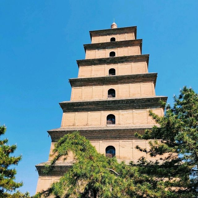 Visit Dayan Pagoda Xi'an 