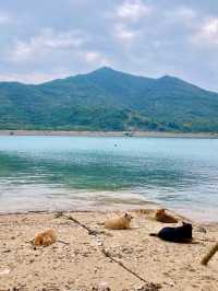 【大嶼山】欣澳鹿頸村：浮木碼頭、港版天使之路郊遊之旅