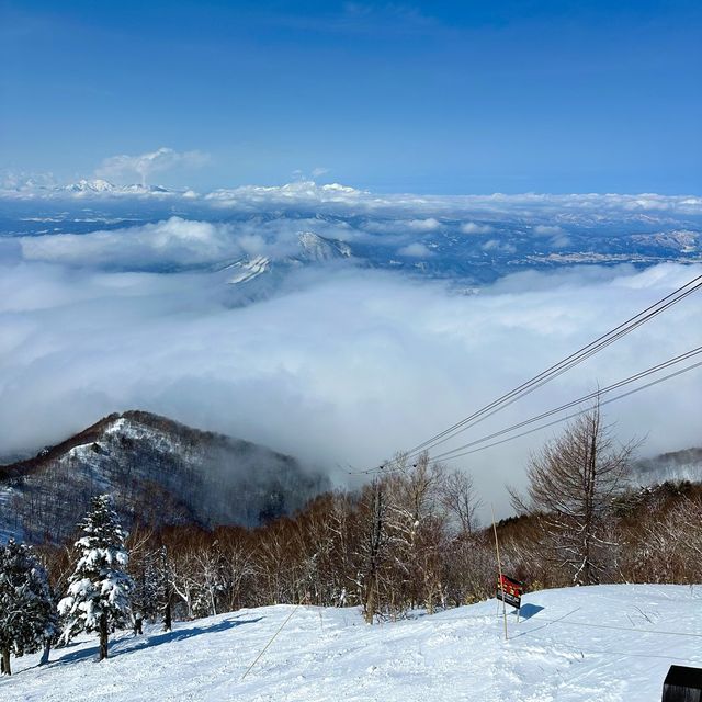 【長野】雲海が見れる絶景スポット！