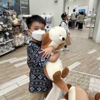 【 福岡之旅。以九州之海為主題的水族館 】 