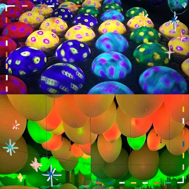 【福岡景點】teamLab森林：夢幻光影，日本必去打卡點