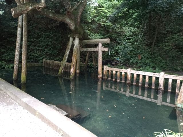 Kashima Jingu