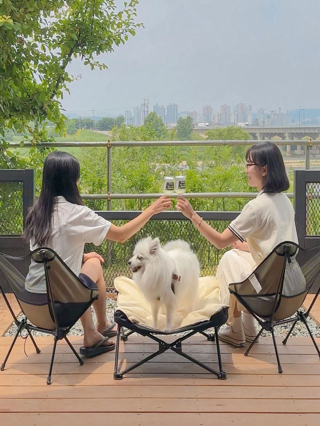 몸만 가면 되는 청주 애견동반 리버뷰 바베큐장🥩🤍